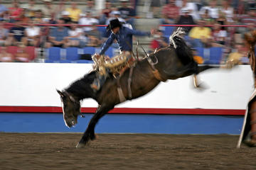 Calgary Stampede