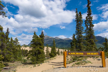 Carcross