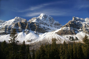 Crowfoot Glacier