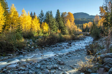 Fitzsimmons Creek