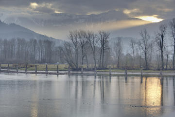 Harrison River