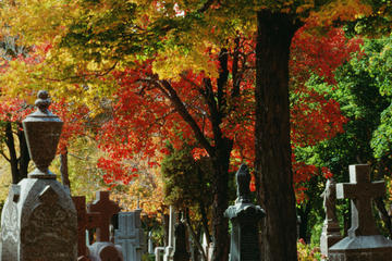 Mount Royal Cemetery