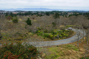 Mt Tolmie Park