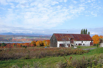 Orleans Island (Ile d'Orleans)