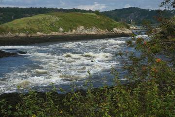 Reversing Falls