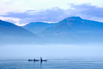 Strait of Juan de Fuca