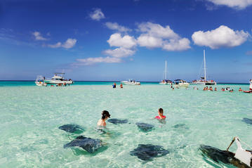 Stingray City