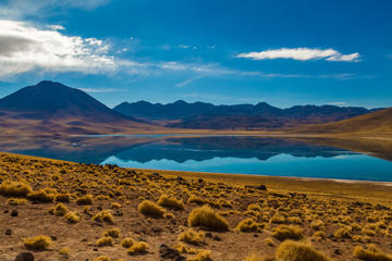 Altiplanic Lagoons