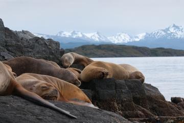 Tierra del Fuego National Park