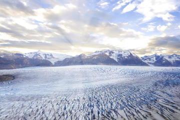 Grey Glacier