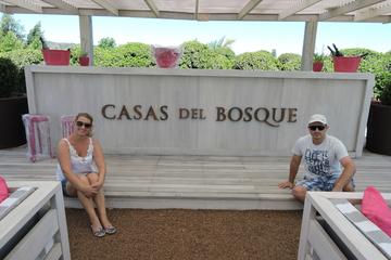 Vina Casas del Bosque