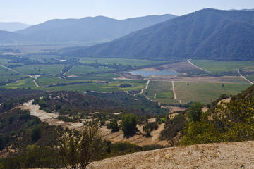 Casablanca Valley