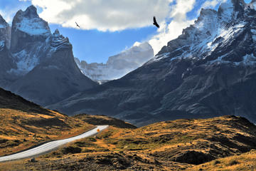 Yerba Loca Sanctuary