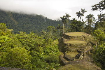 Lost City (Ciudad Perdida)