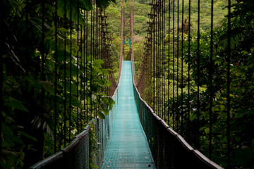 Arenal Hanging Bridges