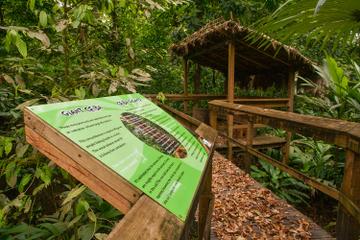 Cinco Ceibas Rainforest Reserve and Adventure Park