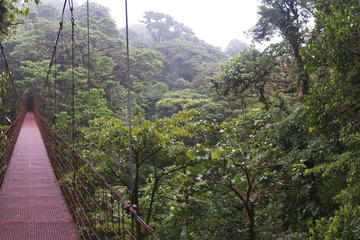 Monteverde Cloud Forest Reserve