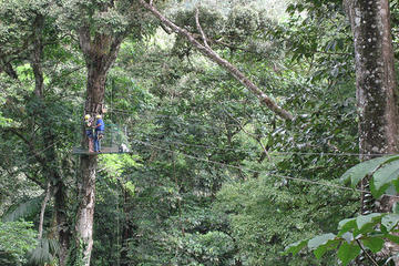 Sarapiqui Canopy