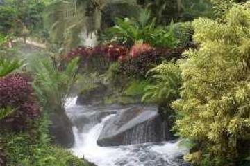 Tabacon Hot Springs