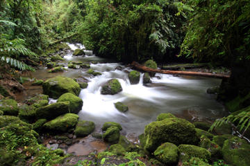 La Fortuna