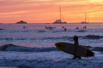 Tamarindo