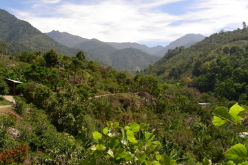 Chirripo National Park