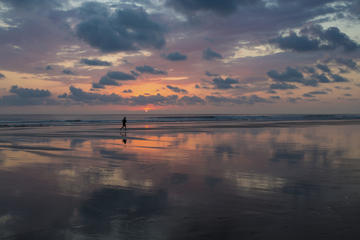 Playa Matapalo