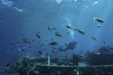 Tugboat Wreck