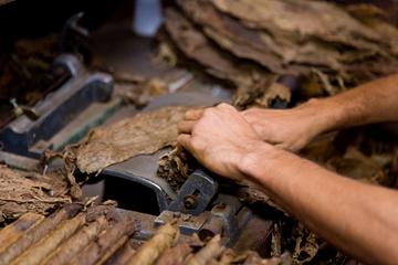 La Flor Dominicana Cigar Factory