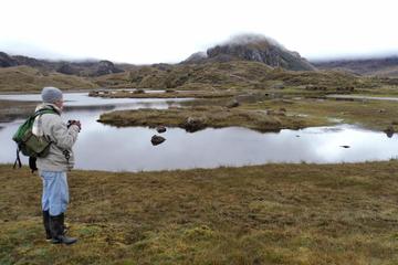 El Cajas National Park