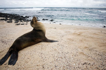 Santa Cruz Island