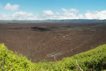 Sierra Negra Volcano