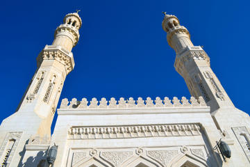 Abdel Monaem Read Mosque (Big Mosque)