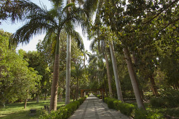 Aswan Botanic Garden