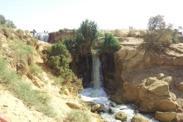 El Fayoum