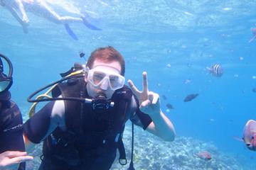 Diving Ocean Makadi Bay