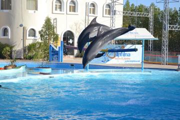 Dolphina Park