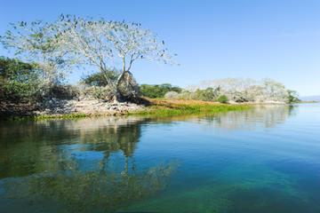 Cerron Grande Dam (Suchitlan Lake)