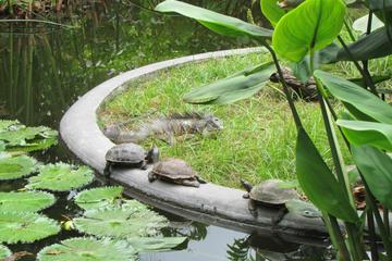 La Laguna Botanical Garden