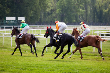 Aintree Racecourse