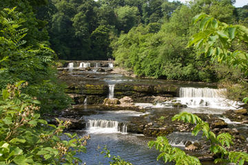 Aysgarth Falls