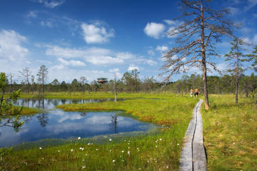 Lahemaa National Park (Lahemaa Rahvuspark)