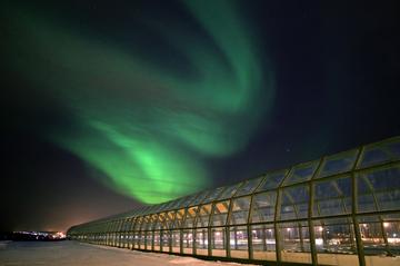 Arktikum Science Museum