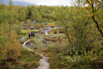 Pyhä-Luosto National Park