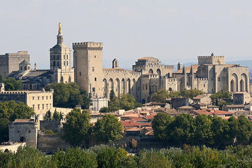 Palace of the Popes (Palais des Papes)