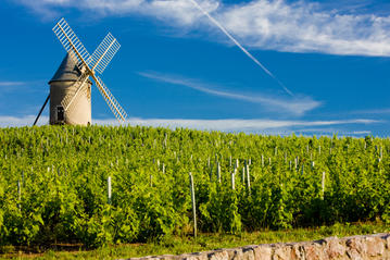 Rhone Valley Region