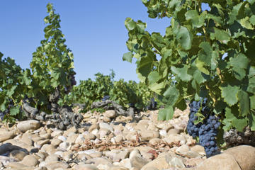 Chateauneuf-du-Pape