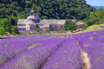 Senanque Abbey