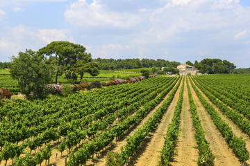 Cabardès Wine Region