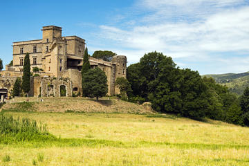 Lourmarin Castle